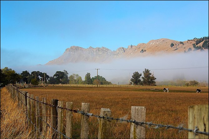 Shore Excursion: 4-Hour Discover Hawkes Bay and Napier Tour - Common questions