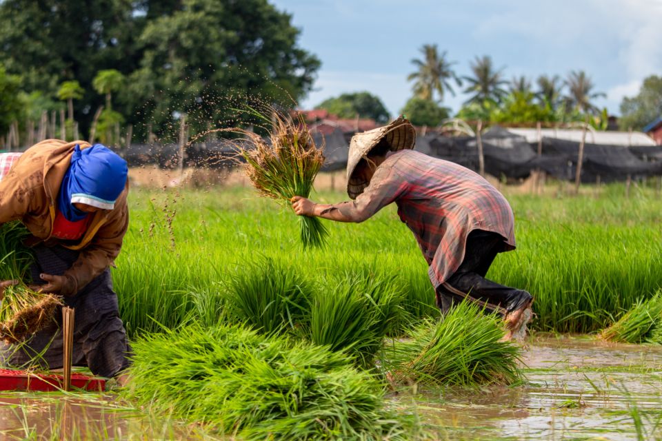 Siem Reap: Countryside Bike Tour With Guide and Local Snacks - Common questions