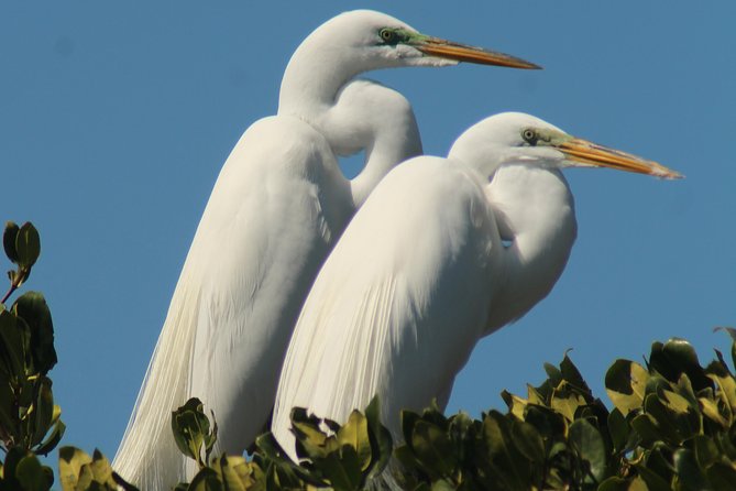 Small Group Boat, Kayak and Walking Guided Eco Tour in Everglades National Park - Cancellation Policy