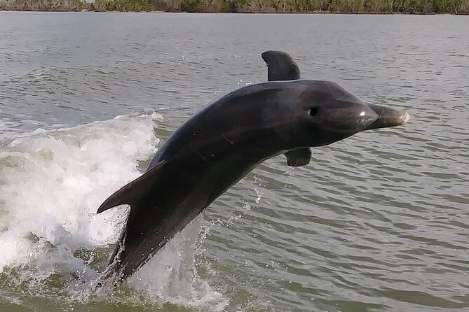 Small-Group Everglades Boating Kayaking and Walking Eco Tour - Booking and Support