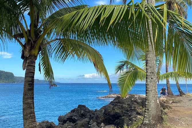 Small-Group Full-Day Maui Nature Tour - Common questions