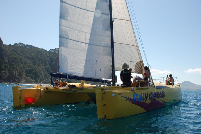 Small-Group Half-Day Sailing Tour With Snorkeling, Cooks Beach  - Whitianga - Cancellation and Refund Policy