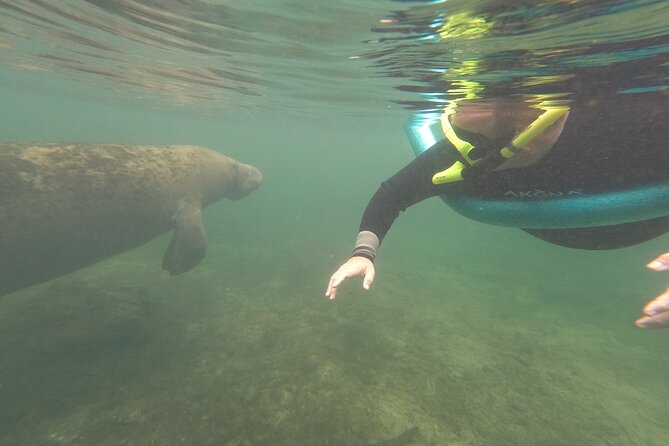 Small Group Manatee Snorkel Tour With In-Water Guide and Photographer - Common questions