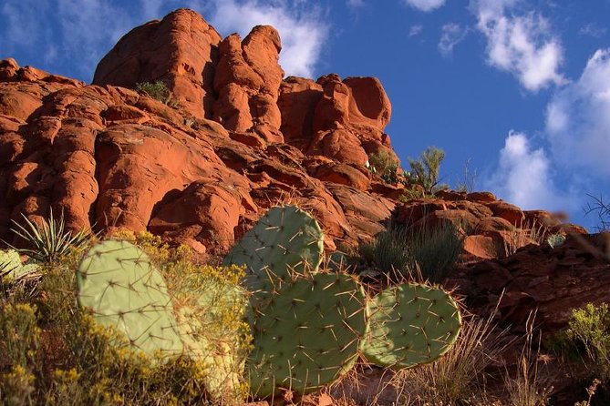 Small Group or Private Sedona and Native American Ruins Day Tour - Common questions