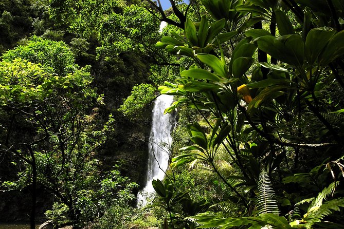 Small-Group Road to Hana Luxury Tour - Sum Up