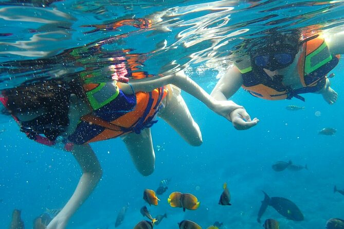 Snorkeling Nusa Penida and Island Tour Package - Booking Information and Tips