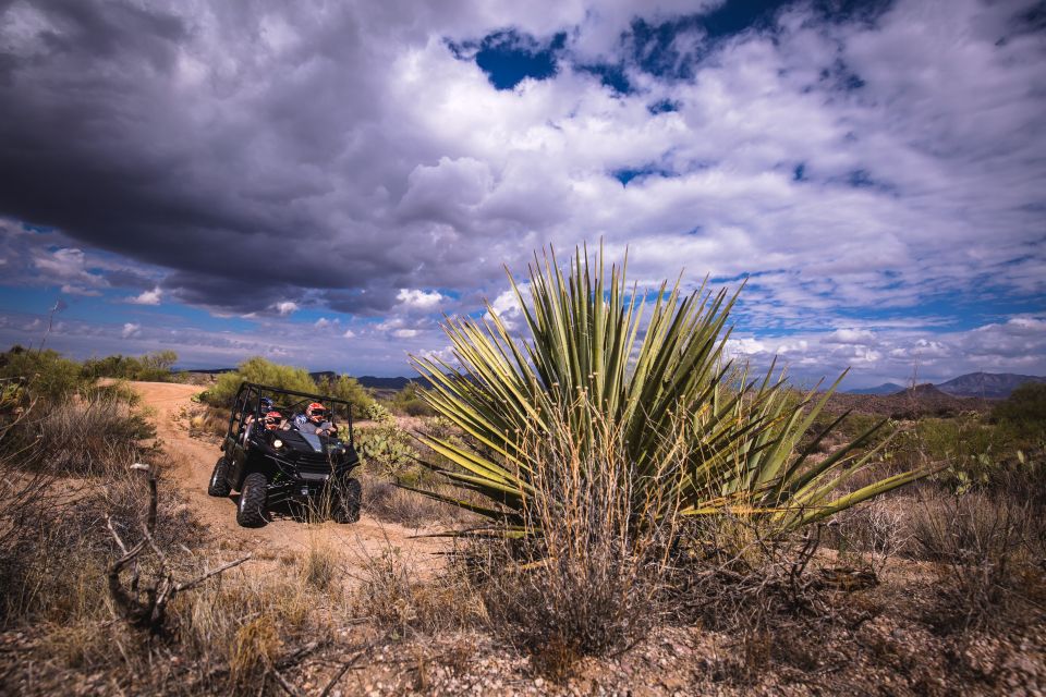 Sonoran Desert: Guided 2-Hour UTV Adventure - Sum Up