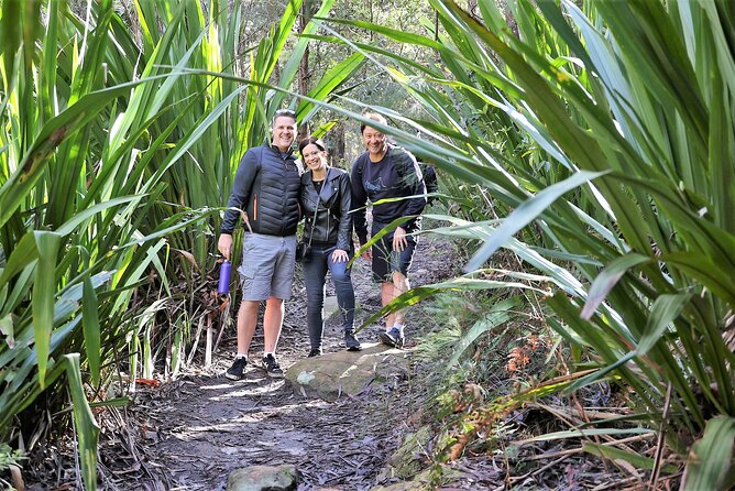 South Coast Day Tour, Blowholes, Lookouts, Bridge and Rainforest - Common questions