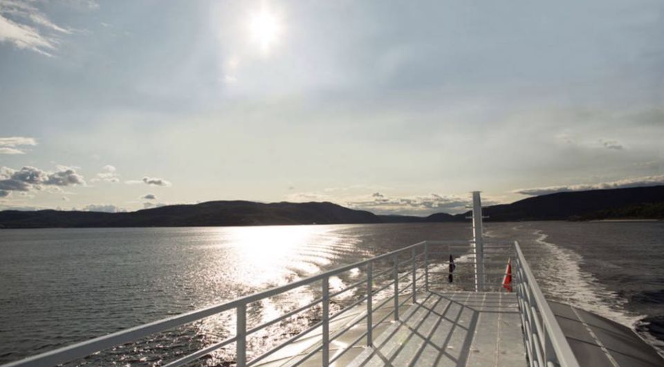 Tadoussac: VIP Lounge or Upper Deck Whale Watching Cruise - Additional Information