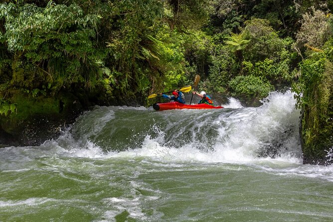 Tauranga Shore Excursion: Rotorua Highlights - Directions