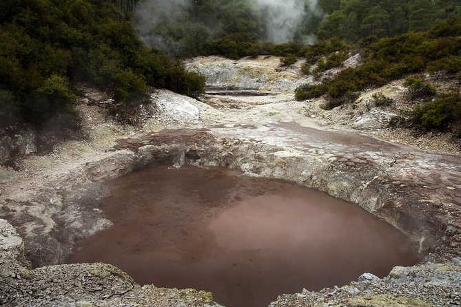 Tauranga - Wia O Tapu Wonderland & Rotorua Geysers: Private Tour - Copyright and Terms