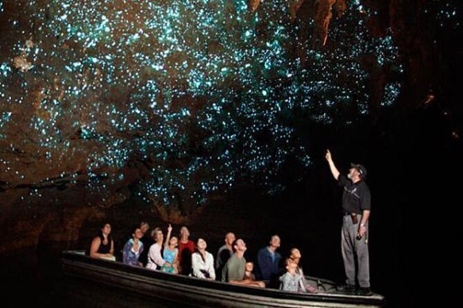 Te Anau Glow Worm Caves Tour - Staff and Guide Insights