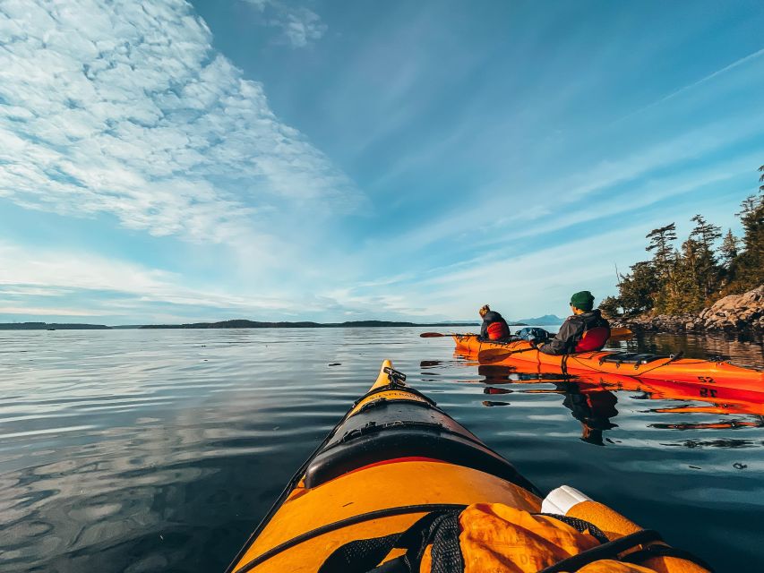 Telegraph Cove: 2 Hour Evening Kayak Tour - Immersive Adventure