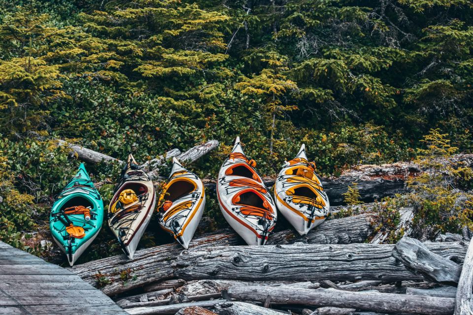 Telegraph Cove: 2 Hour Family Fun Kayaking Tour - Booking Information