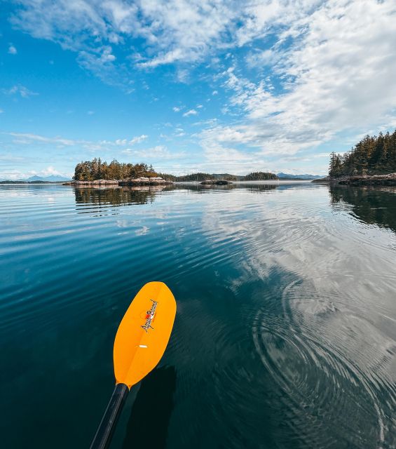 Telegraph Cove: Day Trip Kayaking Tour - Common questions