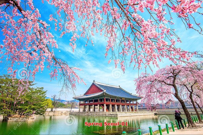 The Beauty of the Korea Cherry Blossom Discover 11days 10nights - Common questions
