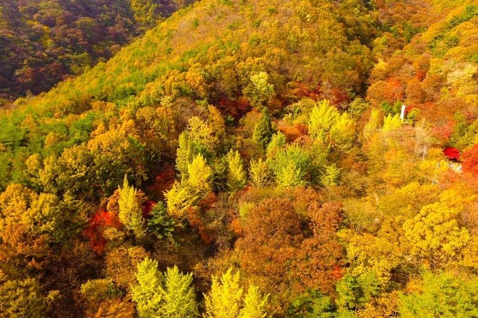 The Beauty of the Korea Fall Foliage Discover 9days 8nights - Sum Up