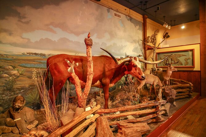The Buckhorn Saloon & Museum and Texas Ranger Museum Admission - Sum Up
