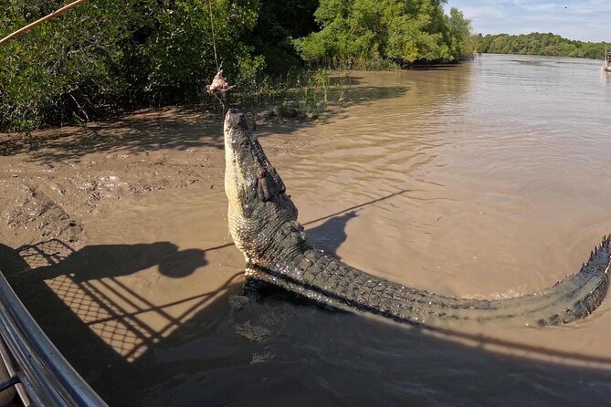 The Croc Bus to the Famous Jumping Crocodile Cruise - Common questions