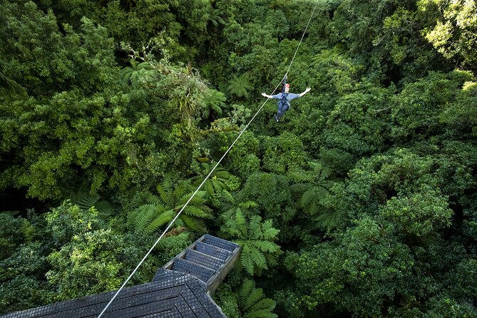 The Original Canopy Zipline Experience Private Tour From Auckland - Booking Information and Pricing