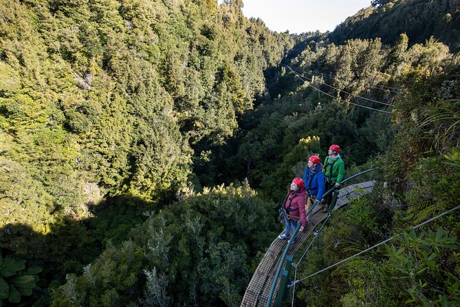 The Ultimate Canopy Zipline Experience Private Tour From Auckland - Common questions