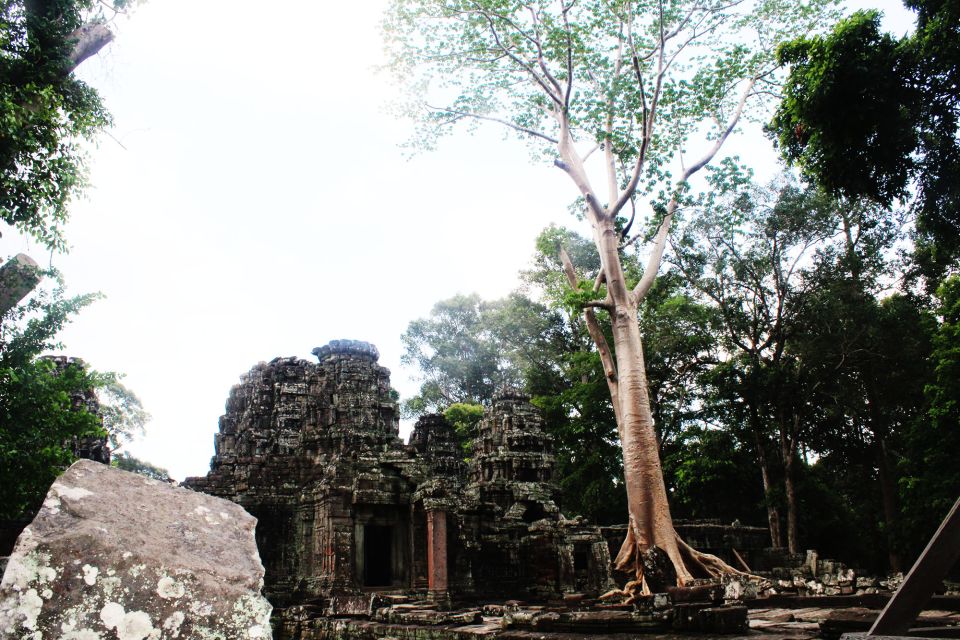 The Wonders of Angkor Private Tour - Experience Highlights