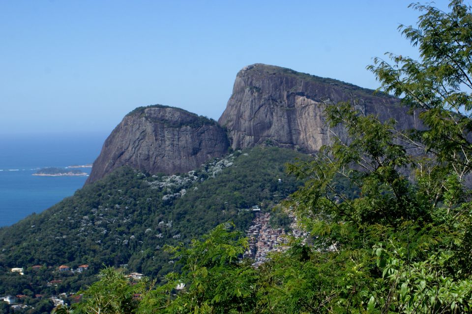 Tijuca Rain Forest Tour by Jeep From Rio De Janeiro - Common questions