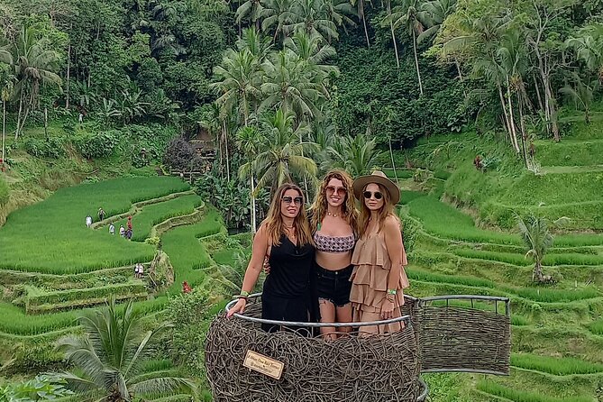 Tlaga Singha Ubud/ Infinity Pool, Monkey Forest, Water Fall. - Legal and Operational Information