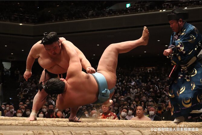 Tokyo Grand Sumo Tournament Viewing C-class Chair Seat Ticket - Sum Up