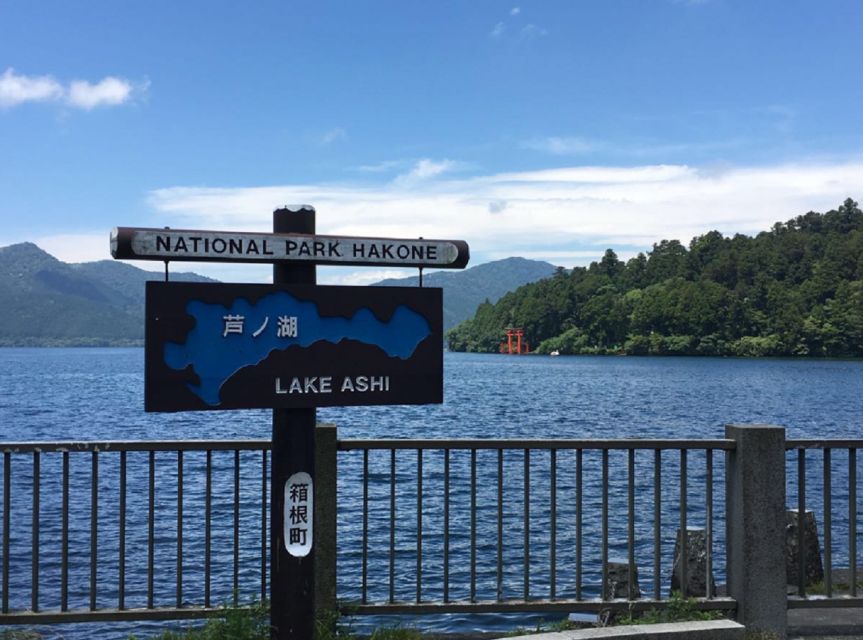 Tokyo: Mt Fuji Area, Lake Ashi, Owakudani, Onsen 1-Day Tour - Review Summary and Recommendations