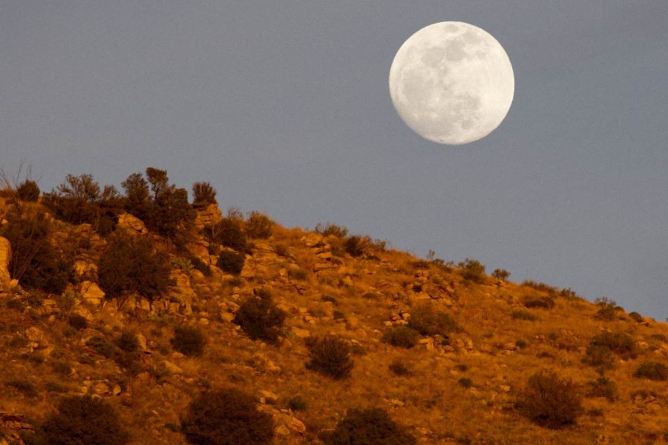 Tucson: Mt Lemmon & Saguaro NP Self-Guided Bundle Tour - Sum Up