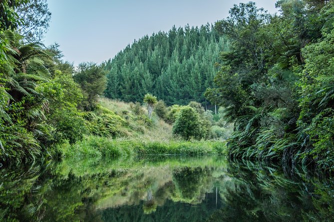 Twilight Kayak Glow Worm Tour - Sum Up