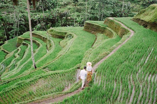 Ubud City Tour II: Monkey Forest, Palace, Art Market, and Rice Terrace - Sum Up