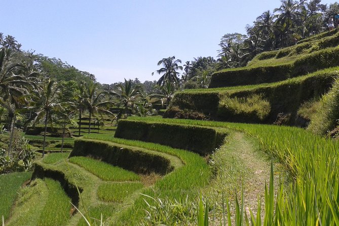 Ubud Cultural Day Tour: A Day for Balinese Cultural Experience - Sum Up