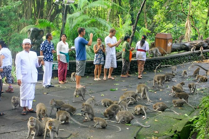 Ubud Day Tour: Sacred Monkey Forest, Tegenungan Waterfall, Rice Terrace - Recommendations and Tips