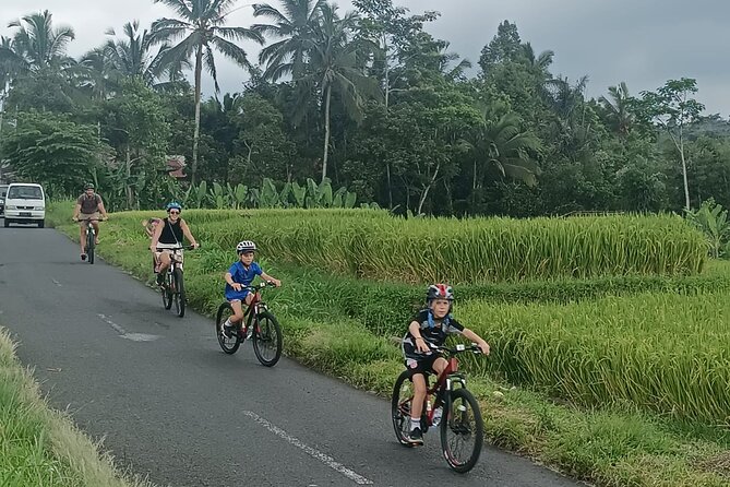 Ubud Downhill Cultural Cycling Tour With Rural and Meal - Additional Information