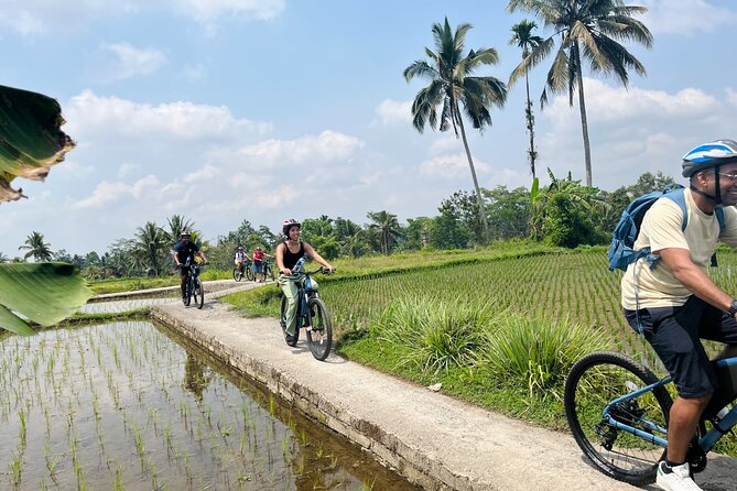Ubud Ebikes Tour to Tegallalang Rice Terrace - Booking and Support Details