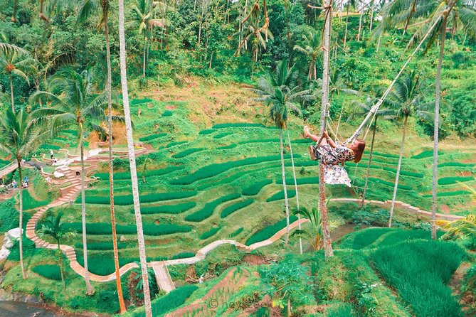 Ubud in a Day: Rice Terrace, Holy Water Temple, Waterfall, Arts - Common questions