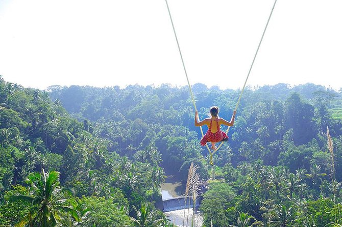 Ubud Jungle Swing, Temple & Waterfall Tour (Private Half Day Tour) - Traveler Resources