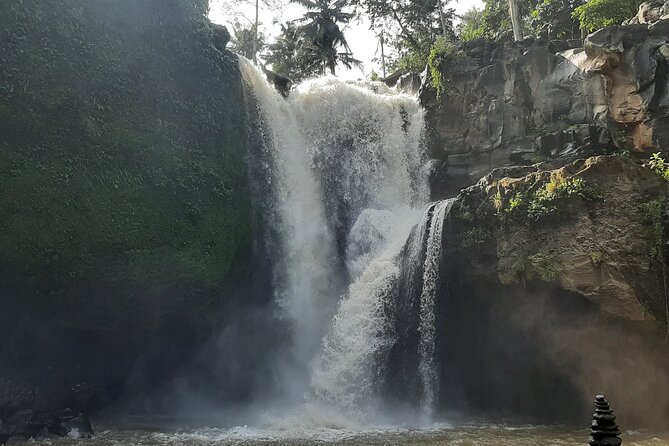 Ubud Private Transport-Only Tour With Stop at Rice Field Swing - Additional Resources