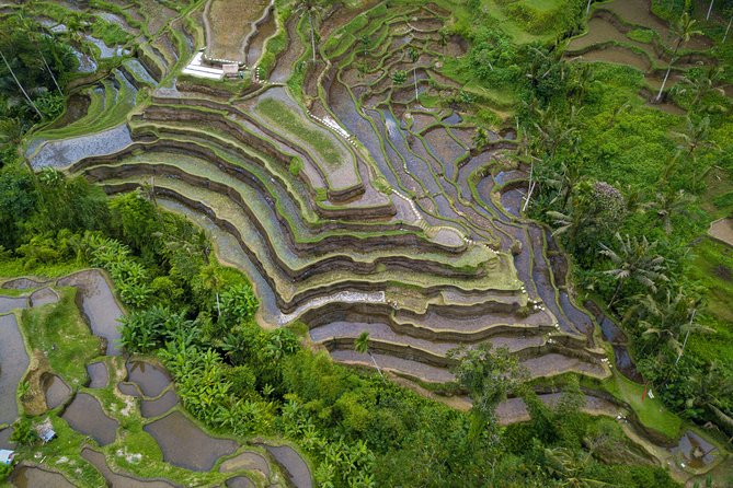 Ubud Top Attractions: Waterfalls, Temples and Rice Terraces - Sum Up