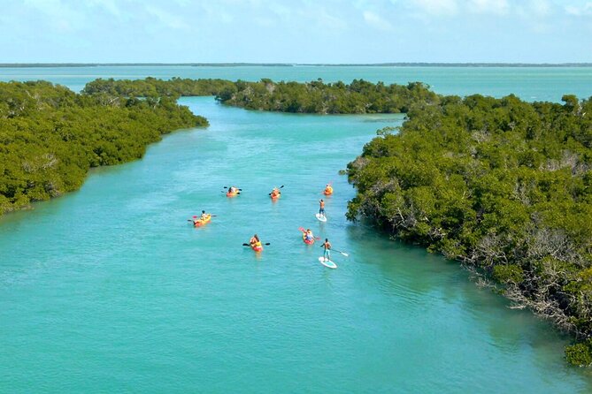 Ultimate Key West Kayak Eco-Tour: Mangrove and Sandbar Adventure - Sandbar Visit