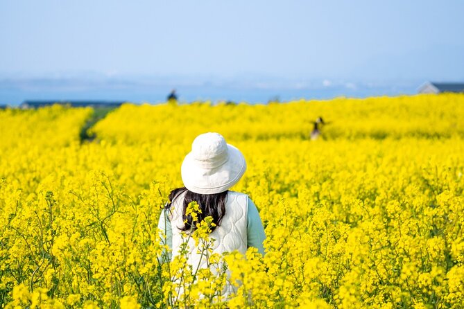 UNESCO Private Guided Culture and Nature Tour in JeJu Island - Tour Pricing and Inclusions