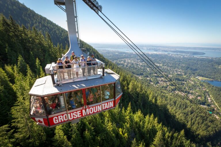 Vancouver: Grouse Mountain Express Tour With Skyride