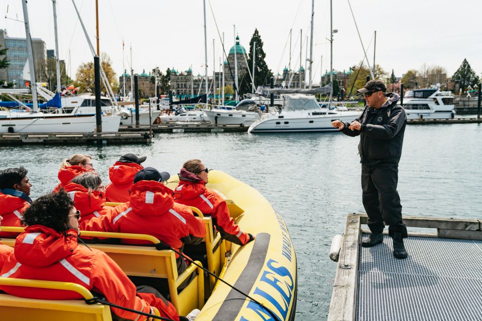 Victoria: 3-Hour Whale Watching Tour in a Zodiac Boat - Safety Guidelines