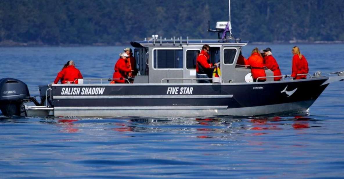 Victoria, BC: 3-Hour Ultimate Whale & Marine Wildlife Tour - Availability and Demand