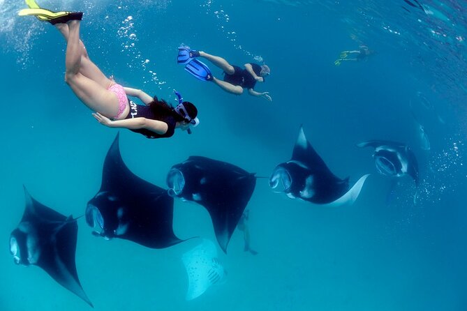 VIP Private Boat to Nusa Penida: Snorkeling With Mantas Land Tour Adventure - Common questions