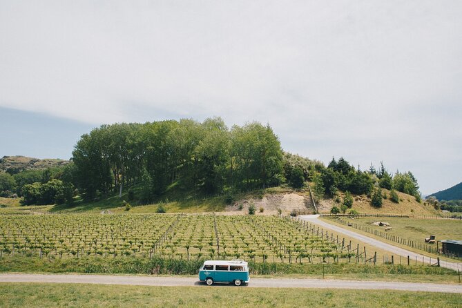 VW Kombi Napier/Hawkes Bay Scenic & Art Deco Tour - Booking Information