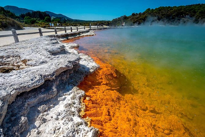 Wai-O-Tapu to Redwoods and Secret Spot - Tips for a Memorable Experience