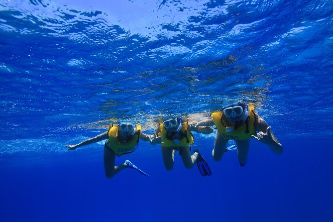 Waikiki: Turtle Canyon Snorkeling Tour From Honolulu  - Oahu - Booking Confirmation and Cancellation Policy
